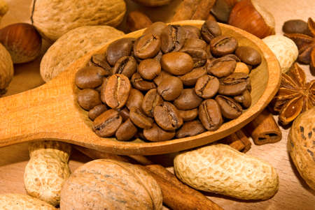 Image of spices, nuts and coffee beans closeupの写真素材