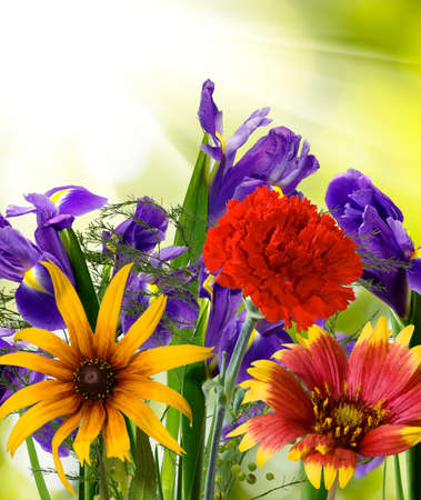 image of beautiful flowers in the garden on  sunlight backgroundの写真素材