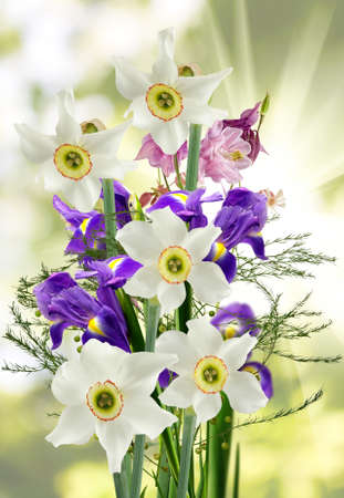 image of beautiful flowers in the garden on  sunlight backgroundの写真素材
