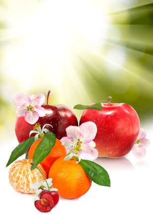 Image of various ripe fruits close-upの写真素材
