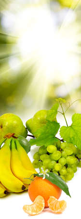 Image of various ripe fruits close-upの写真素材