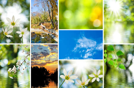 image of mix beautiful views of nature closeup
