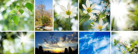 image of mix beautiful views of nature closeup