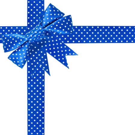 image of a blue bow on a white background close-upの写真素材