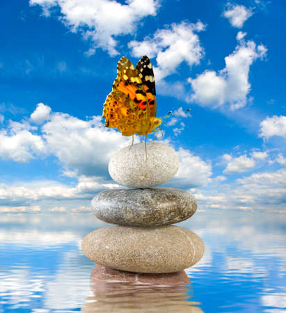 Image of stones and butterfly on sky and water the backgroundの写真素材