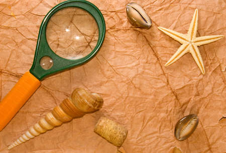 image of sea shells and magnifier closeup