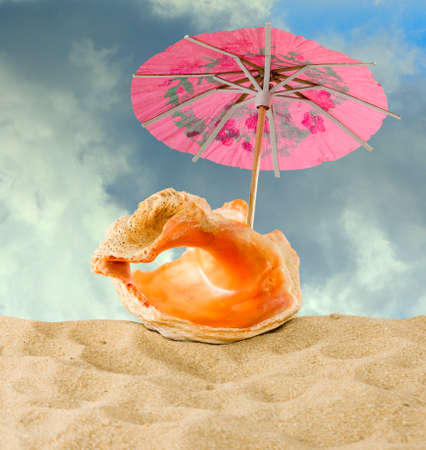 Image of seashells on sea background close-upの写真素材