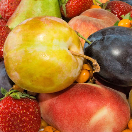 Isolated image of various ripe fruits closeupの写真素材