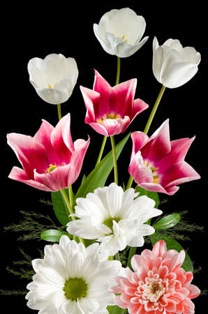image of beautiful flowers on a black background close-upの写真素材