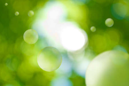 image of natural green background close-upの写真素材