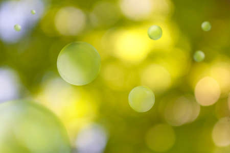 image of natural green background close-upの写真素材