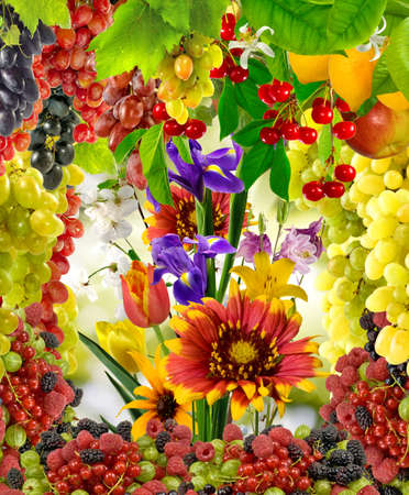 images of flowers and fruits in the garden closeupの写真素材