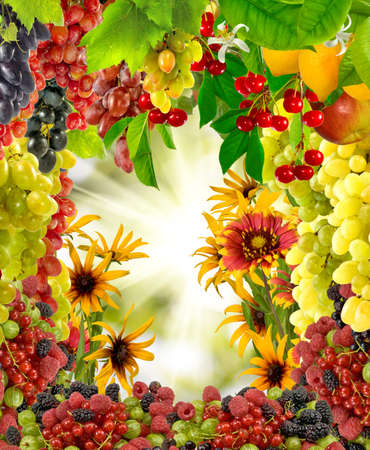 images of flowers and fruits in the garden closeupの写真素材