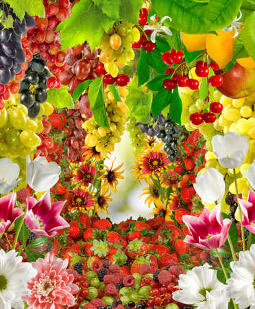 images of flowers and fruits in the garden closeupの写真素材