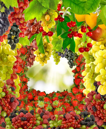 images of flowers and fruits in the garden closeupの写真素材