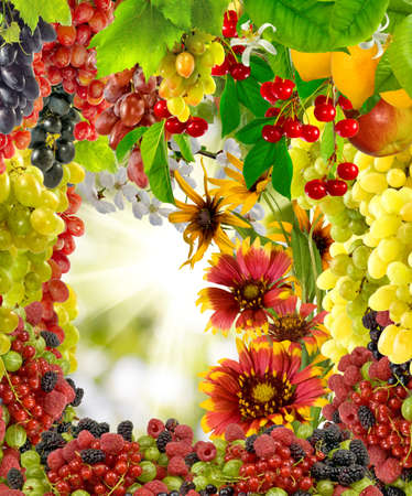 images of flowers and fruits in the garden closeupの写真素材