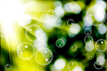 image of natural green backgroundの写真素材