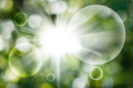 image of natural green background close-upの写真素材