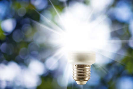 image of included lamp on a green background close-upの写真素材