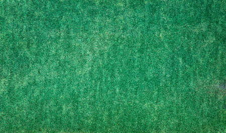image of green backgroundの写真素材