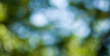 image of natural background closeupの写真素材