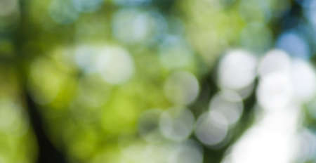 image of natural background closeupの写真素材