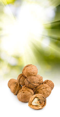 image of walnuts on the sun background