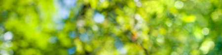 image of natural abstract background close upの写真素材