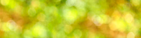 image of natural abstract background close upの写真素材