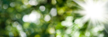 image of natural abstract background close upの写真素材