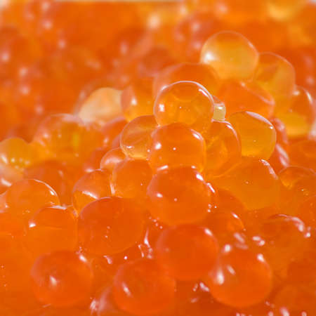 Isolated image of red caviar on a white background close upの写真素材