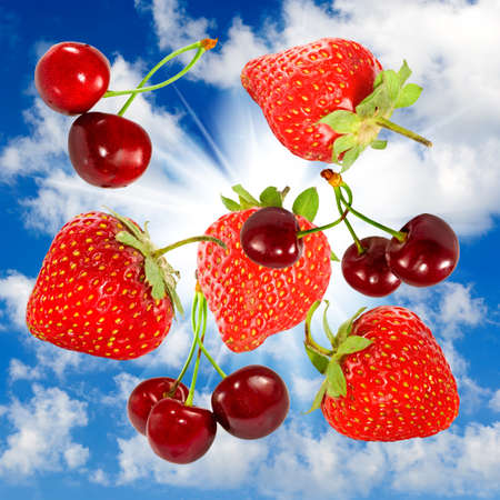 image of berries  against the sky closeup