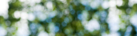 image of natural abstract background close upの写真素材