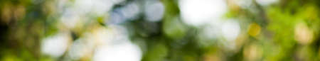 image of natural abstract background close upの写真素材
