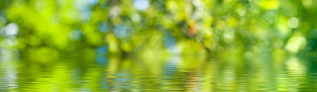 water on green blurred background close-upの写真素材