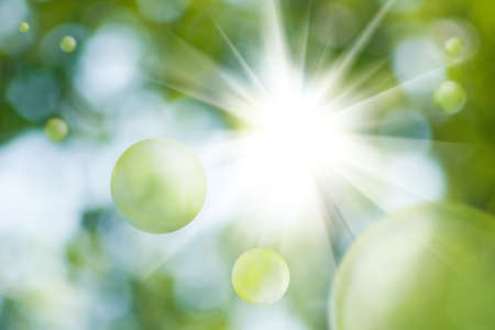 image of natural green background close-upの写真素材