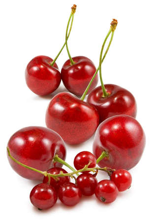 Isolated image of cherries and red currantscloseupの写真素材