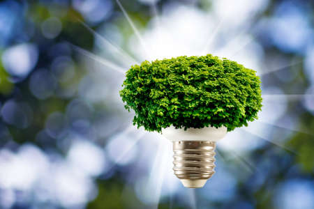 image of  tree in a light bulb on a green background closeupの写真素材