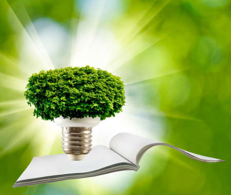 image of tree in a light bulb over the open magazine closeupの写真素材