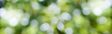 image of natural abstract background close upの写真素材