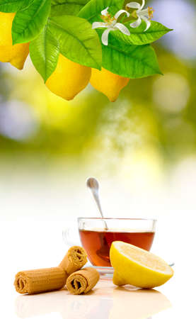 image of tea and cookies close upの写真素材