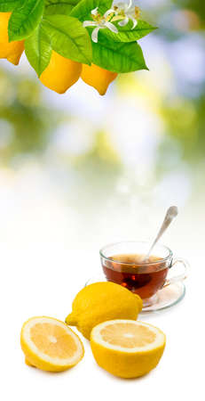 image of tea and lemon close-upの写真素材