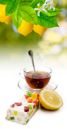 image of cups with tea and cookies on sunlight background closeupの写真素材