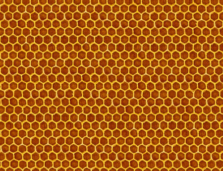 image of honeycomb close up