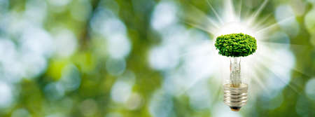 stylized image of a tree in a light bulb on a green background close upの写真素材