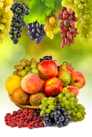 image of many fruits in the garden closeupの写真素材