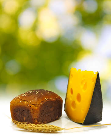bread, wheat and cheese on green backgroundの写真素材