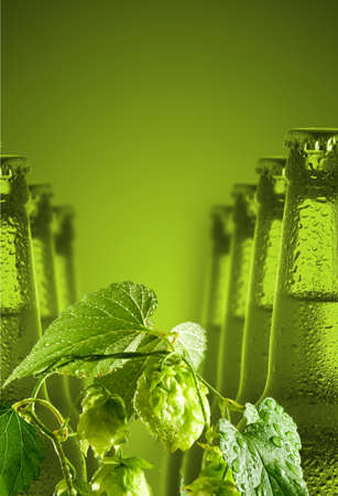 image of bottles of beer and hop close upの写真素材