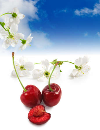 image of cherries close-upの写真素材
