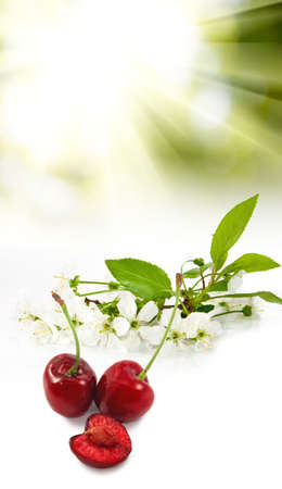 Isolated image of cherries close upの写真素材